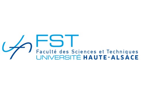 Logo FST