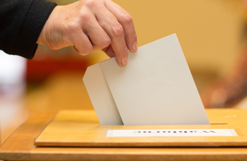 Élections CNESER étudiants - Affichage des candidatures