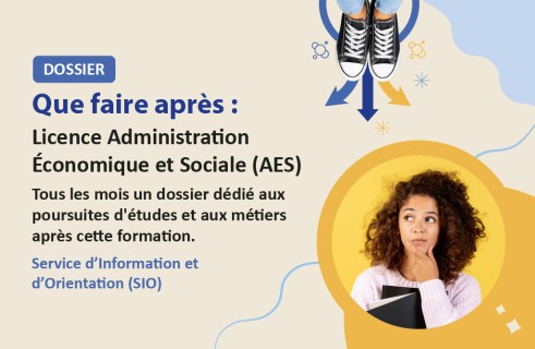 Que faire après : Licence LLCER
