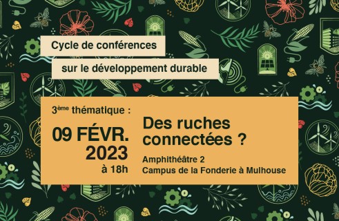 Conférence DD&RS - Des ruches connectées ?